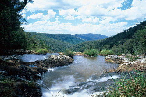 Springbrook National Park & Gold Coast Full Day Luxury Tour From Brisbane - Accommodation Bookings 3