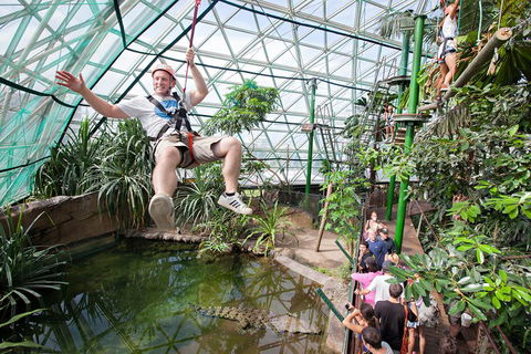 Cairns ZOOM And Wildlife Dome - Accommodation Bookings 4