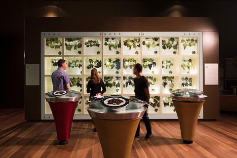 Australian Wine Discovery Tour Ticket - Accommodation Bookings 3