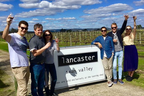 Swan Valley Tour From Perth: Wine, Beer And Chocolate Tastings - Accommodation Bookings 1