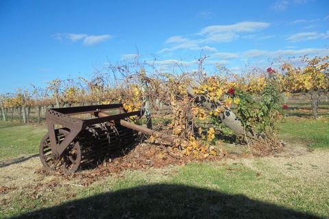 Swan Valley Tour From Perth: Wine, Beer And Chocolate Tastings - Accommodation Bookings 3
