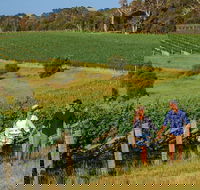 10 Day Perth to Adelaide Private Tour - The Great Australian Wilderness Journey - Accommodation Bookings
