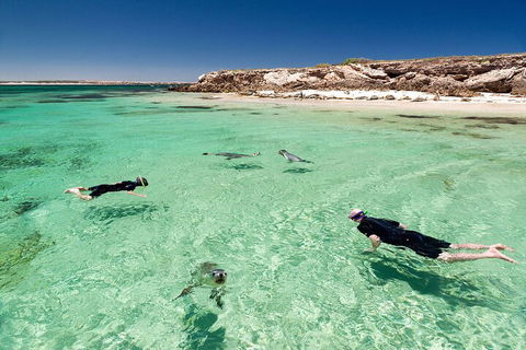 10 Day Adelaide To Perth Private Tour - The Great Australian Wilderness Journey - Accommodation Bookings 1