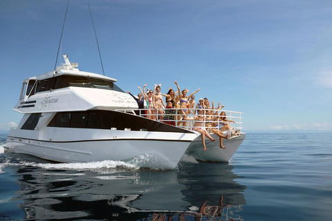 Seastar Luxury Outer Great Barrier Reef Island And Reef Tour From Cairns - Accommodation Bookings 4