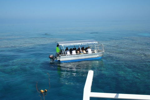 Seastar Luxury Outer Great Barrier Reef Island And Reef Tour From Cairns - Accommodation Bookings 5