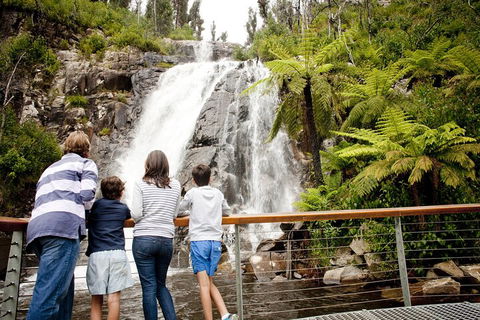 Melbourne Snow Trip To Lake Mountain With Chocolates Visit To A Waterfall - Accommodation Bookings 3