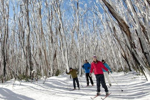 Melbourne Snow Trip To Lake Mountain With Chocolates Visit To A Waterfall - Accommodation Bookings 5