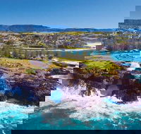 Sydney Wine Tour  Wine Waves  Wildlife in South Coast - Accommodation Bookings