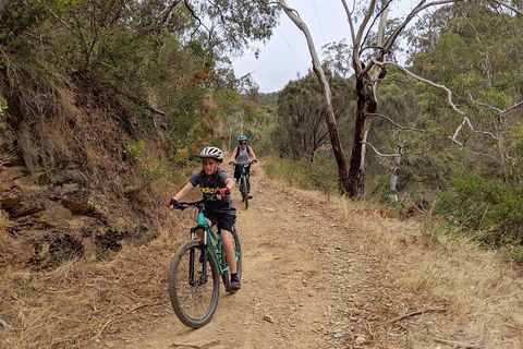 Mount Lofty Descent Bike Tour From Adelaide - Accommodation Bookings 0