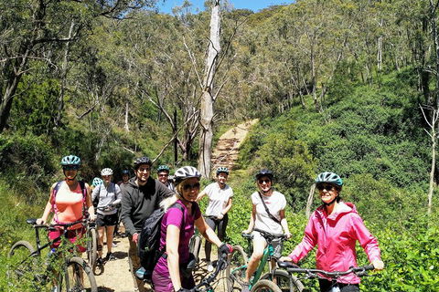 Mount Lofty Descent Bike Tour From Adelaide - Accommodation Bookings 5