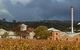 Penfolds Magill Estate Iconic Experience - thumb 3