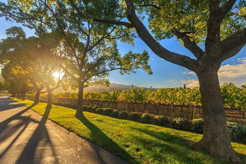 Very Best Of Perth Tour - Wildlife Park & City Highlights Tour - Accommodation Bookings 2