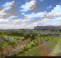 Hunter Valley Wine Tour from Sydney incl Lunch Cheese Chocolate and Distillery - Accommodation Bookings