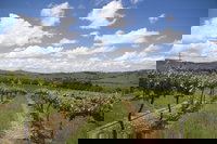 Hunter Valley Wine Tour from Sydney incl Lunch Cheese Chocolate and Distillery, Hunterview