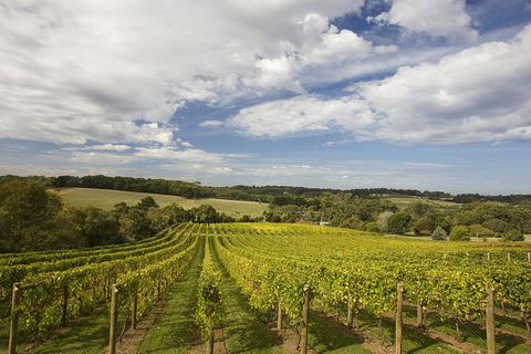 Mornington Peninsula Farm Produce Wine And Cider Tour - Accommodation Bookings 5