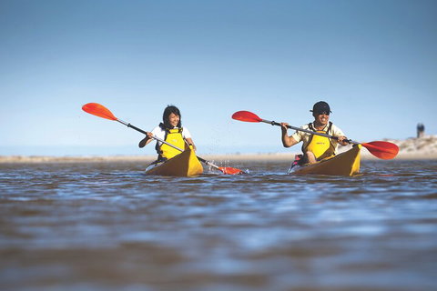 Kangaroo Island Self-Guided Kayaking On The Harriet River - Accommodation Bookings 2