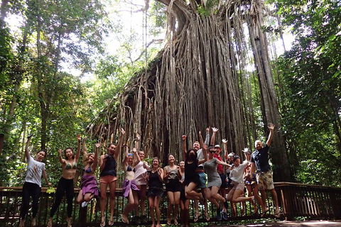 Atherton Tablelands Waterfalls Tour From Cairns - Accommodation Bookings 5