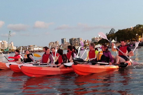 Brisbane River Guided Evening Tour By Kayak - Our Most Popular Tour - Accommodation Bookings 0