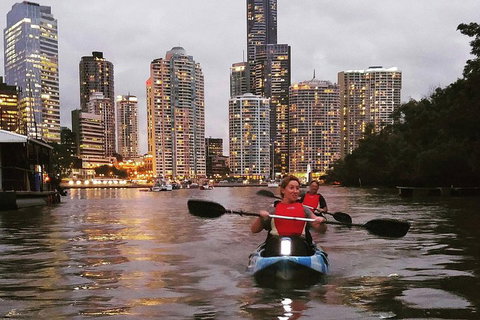 Brisbane River Guided Evening Tour By Kayak - Our Most Popular Tour - Accommodation Bookings 3