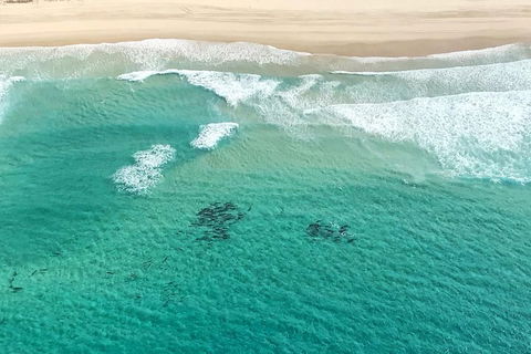 Coastal Helicopter Shared Flight - 20 Minutes - Accommodation Bookings 4