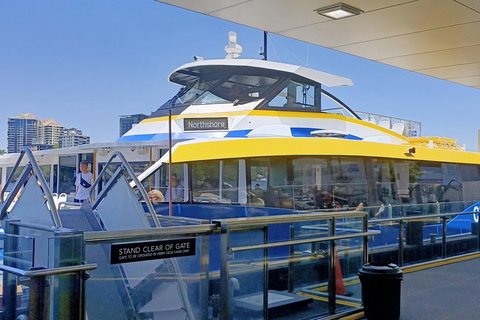 Brisbane City Essentials Walking Tour - Accommodation Bookings 3