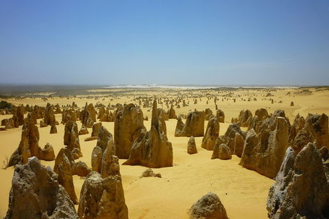 Pinnacles Desert Private Tour - Accommodation Bookings 2