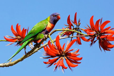 Half Day Perth & Fremantle Highlights - Accommodation Bookings 2