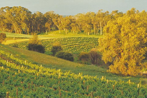 Swan Valley Private Tour - Accommodation Bookings 2
