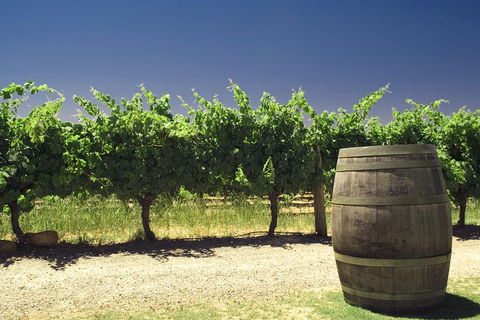 Swan Valley Private Tour - Accommodation Bookings 4