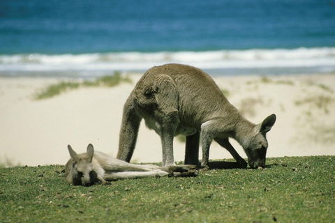 Great Ocean Road Full Coastal Tour - 3 Days, 2 Nights - Accommodation Bookings 1