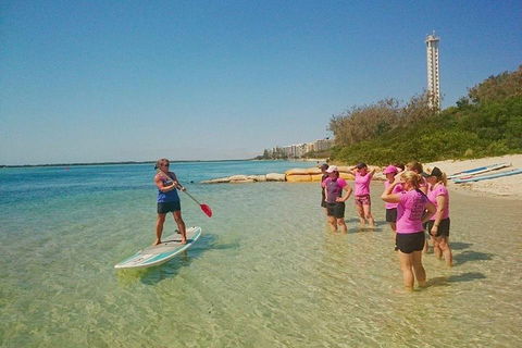 Golden Beach 1-Hour Stand-Up Paddleboard Hire On The Sunshine Coast - Accommodation Bookings 1