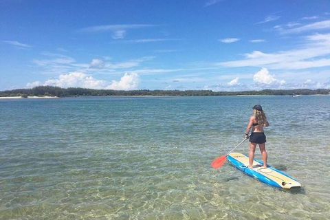 Golden Beach 1-Hour Stand-Up Paddleboard Hire On The Sunshine Coast - Accommodation Bookings 4