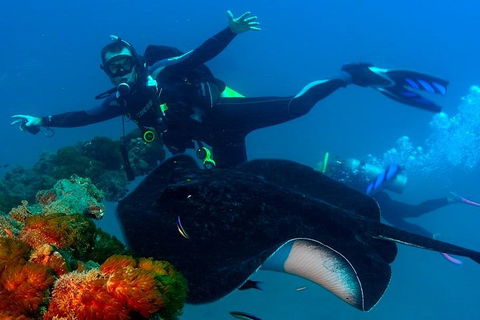 Scuba Dive The S.S. Yongala Wreck On The Great Barrier Reef. - Accommodation Bookings 0