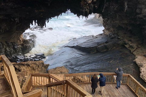 Kangaroo Island 4WD Tour - Best Of KI - Accommodation Bookings 1