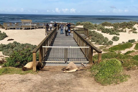 Kangaroo Island 4WD Tour - Best Of KI - Accommodation Bookings 2