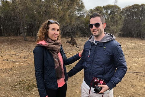 Kangaroo Island 4WD Tour - Best Of KI - Accommodation Bookings 3