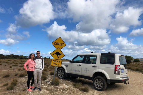 Kangaroo Island 4WD Tour - Best Of KI - Accommodation Bookings 5