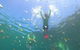 Manly Snorkel Trip And Nature Walk With Local Guide - thumb 0