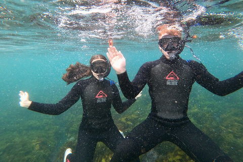 Manly Snorkel Trip And Nature Walk With Local Guide - Accommodation Bookings 3
