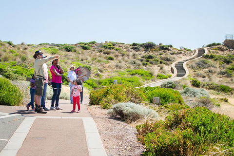 Margaret River Coastal And Wildlife Eco Trip From Busselton Or Dunsborough - Accommodation Bookings 0