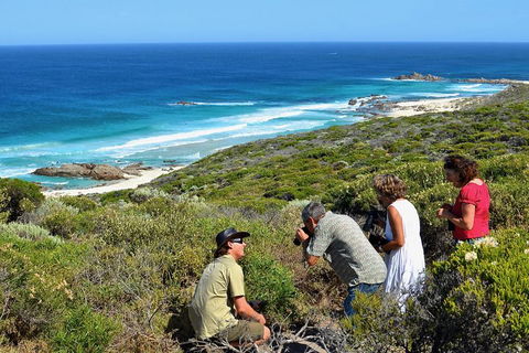 Margaret River Coastal And Wildlife Eco Trip From Busselton Or Dunsborough - Accommodation Bookings 2