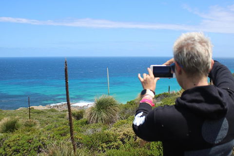 Margaret River Coastal And Wildlife Eco Trip From Busselton Or Dunsborough - Accommodation Bookings 3