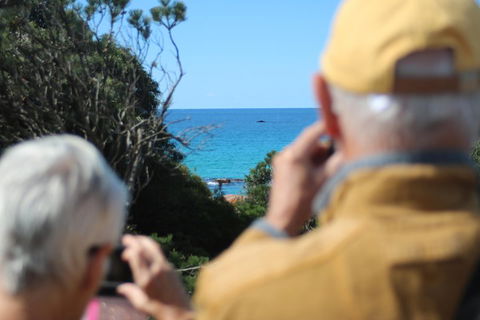 Margaret River Coastal And Wildlife Eco Trip From Busselton Or Dunsborough - Accommodation Bookings 5